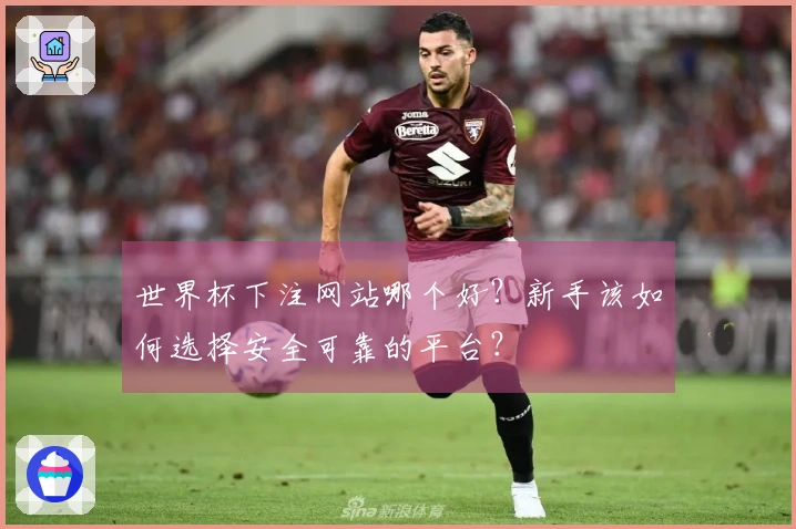 世界杯下注网站哪个好？新手该如何选择安全可靠的平台？