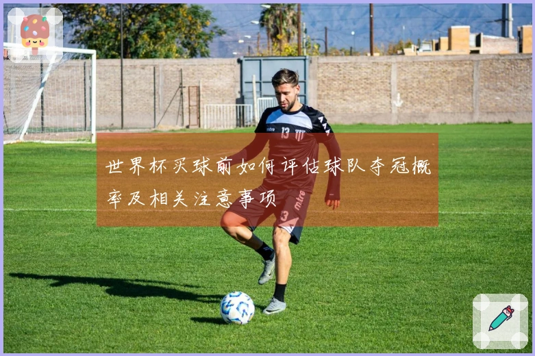 世界杯买球前如何评估球队夺冠概率及相关注意事项