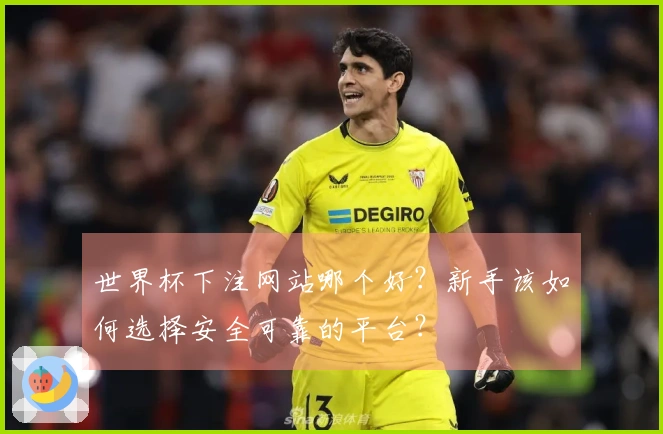 世界杯下注网站哪个好？新手该如何选择安全可靠的平台？